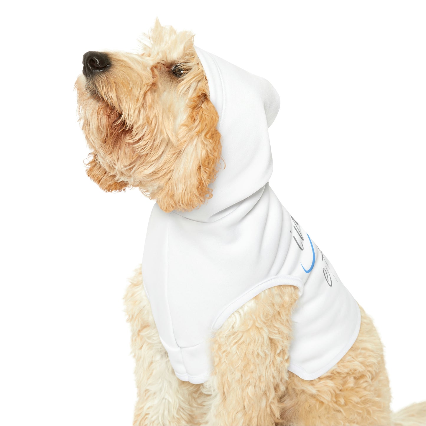 Yoga Dog Hoodie