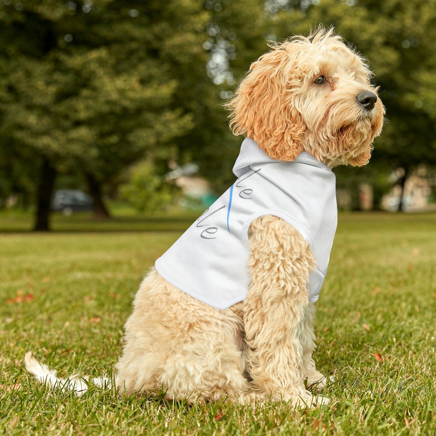 Yoga Dog Hoodie