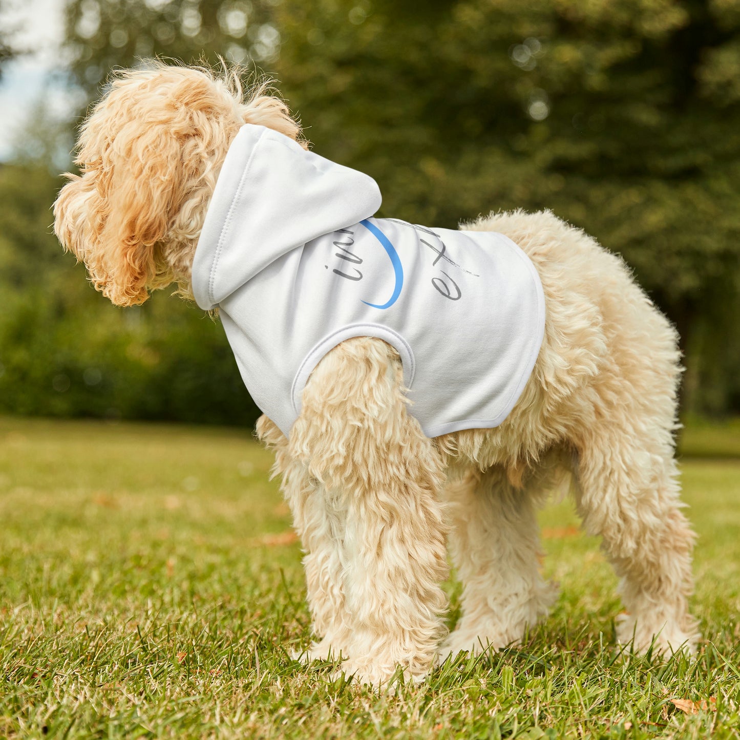 Yoga Dog Hoodie