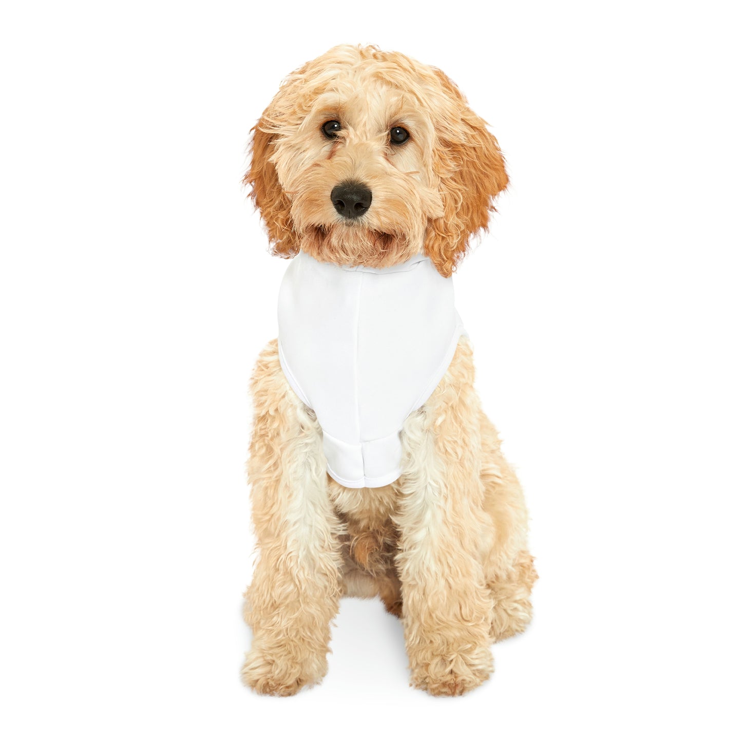 Yoga Dog Hoodie